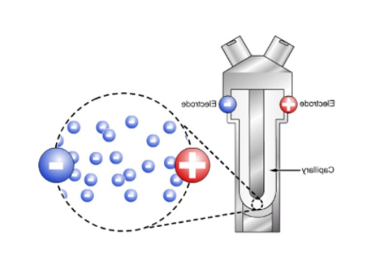 105503_135384_jswz.jpg 電泳光散射Zeta電位表征技術在電池材料中的應用(三)-Emily.wu edited - 副本564.jpg